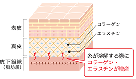 約3倍効果が持続